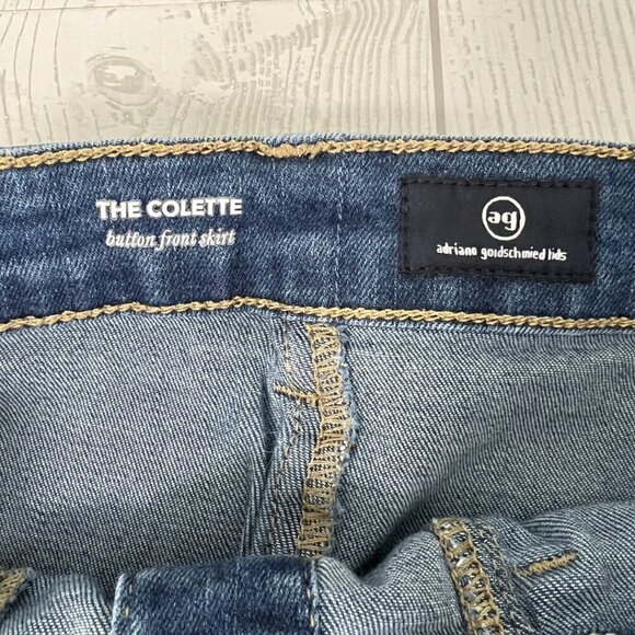 Adriano Goldschmied Colette Button Front Denim Skirt - Picture 2 of 7